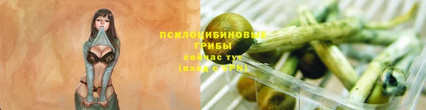 jwh Алзамай