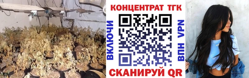 ТГК Wax  Камызяк 