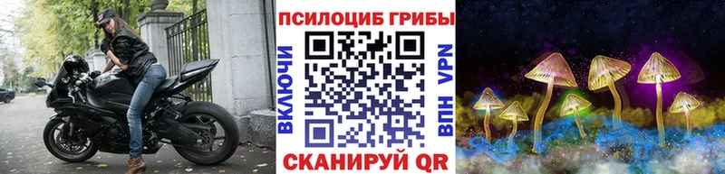hydra маркетплейс  Камызяк  Галлюциногенные грибы Magic Shrooms  где найти  