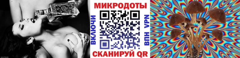Псилоцибиновые грибы GOLDEN TEACHER Камызяк